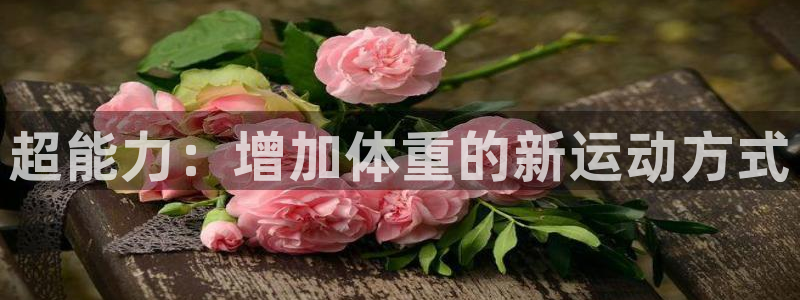 vsport体育在线官网
