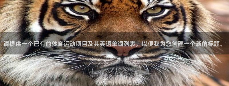vsport体育在线官网