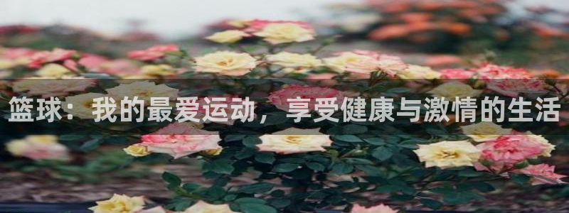 vsport体育