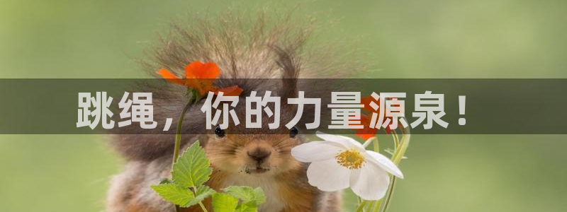 vsport体育在线官网